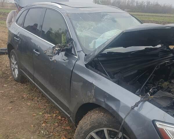 Ауди Ку 5, объемом двигателя 1.98 л и пробегом 370 тыс. км за 7500 $, фото 7 на Automoto.ua