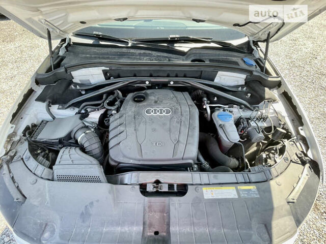 Ауді Ку 5, об'ємом двигуна 1.98 л та пробігом 90 тис. км за 29500 $, фото 37 на Automoto.ua