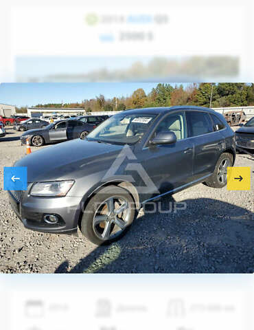 Ауди Ку 5 2014 в Луцке на Automoto.ua Серый Ауди Ку 5, объемом двигателя 3 л и пробегом 170 тыс. км за 15900 $, фото 75 на Automoto.ua