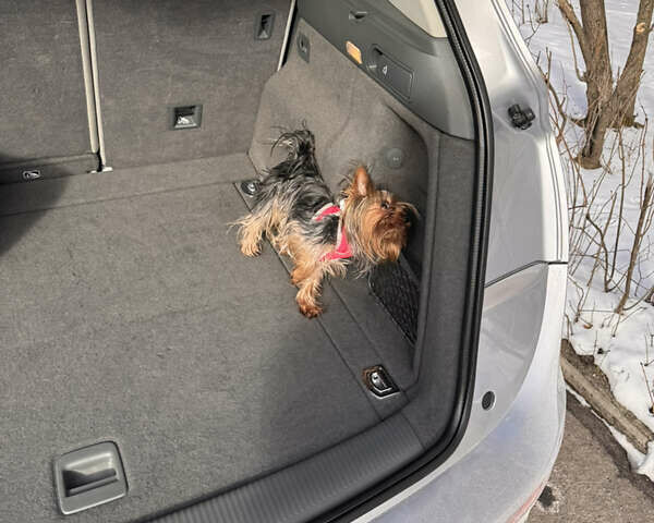 Серый Ауди Ку 5, объемом двигателя 2 л и пробегом 125 тыс. км за 18900 $, фото 13 на Automoto.ua