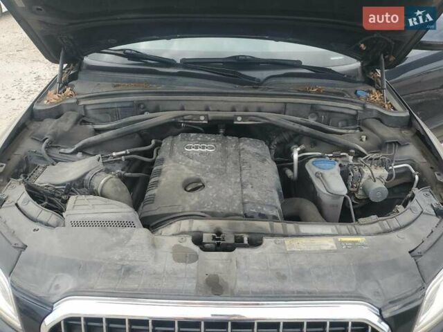 Ауди Ку 5 2016 в Виннице на Automoto.ua Синий Ауди Ку 5, объемом двигателя 2 л и пробегом 187 тыс. км за 3700 $, фото 11 на Automoto.ua