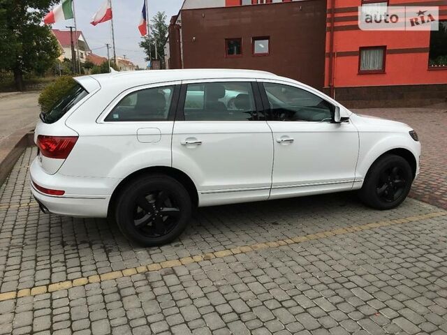 Ауди Ку 7 2014 в Киеве на Automoto.ua Белый Ауди Ку 7, объемом двигателя 3 л и пробегом 183 тыс. км за 15500 $, фото 12 на Automoto.ua