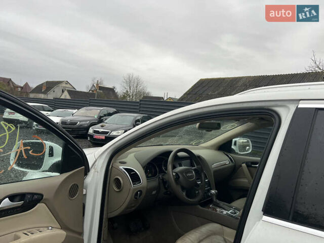 Белый Ауди Ку 7, объемом двигателя 3 л и пробегом 292 тыс. км за 13300 $, фото 18 на Automoto.ua