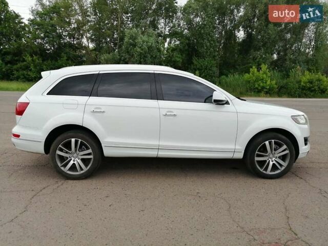 Ауди Ку 7 2015 в Полтаве на Automoto.ua Белый Ауди Ку 7, объемом двигателя 3 л и пробегом 118 тыс. км за 20500 $, фото 14 на Automoto.ua