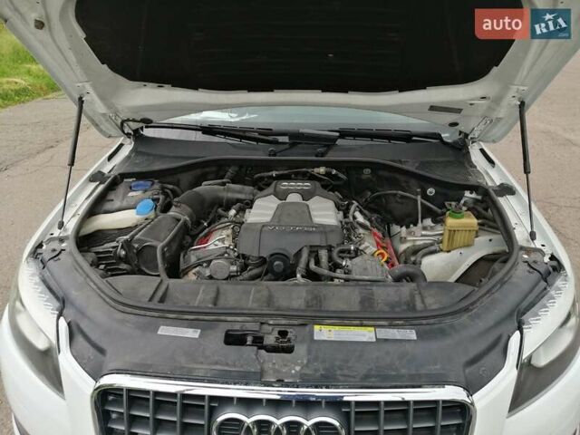 Ауди Ку 7 2015 в Полтаве на Automoto.ua Белый Ауди Ку 7, объемом двигателя 3 л и пробегом 118 тыс. км за 20500 $, фото 59 на Automoto.ua