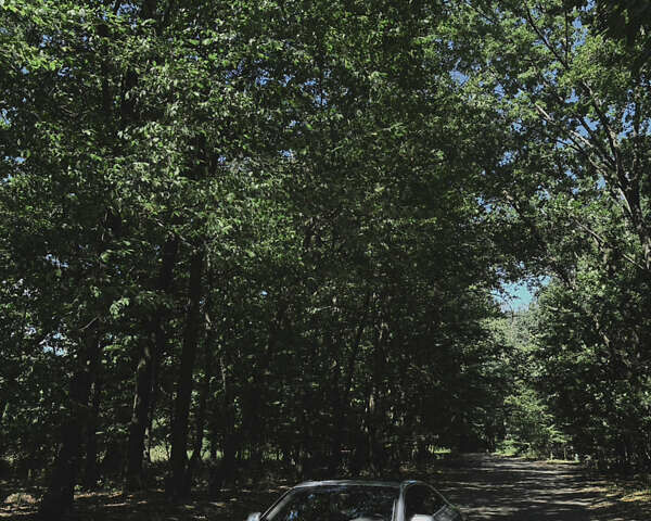 Сірий Ауді S5, об'ємом двигуна 3 л та пробігом 127 тис. км за 18500 $, фото 2 на Automoto.ua