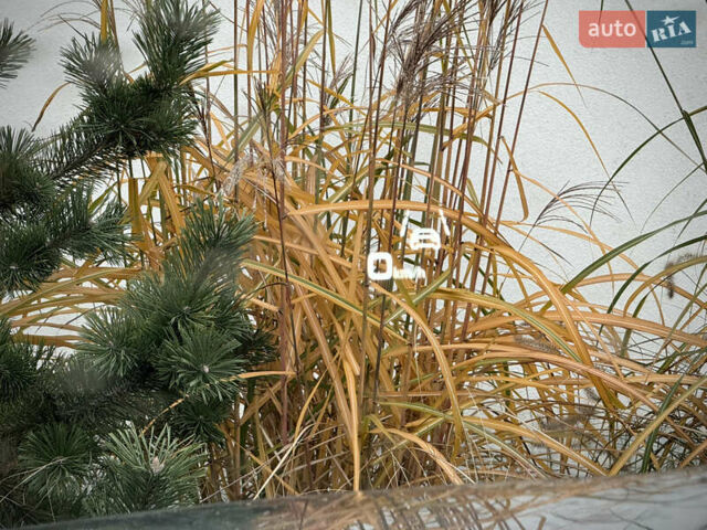 Синий Ауди Q8 Sportback e-tron, объемом двигателя 0 л и пробегом 17 тыс. км за 58868 $, фото 105 на Automoto.ua