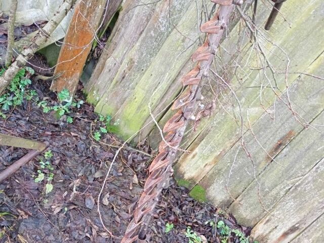 БДТ 1.5, об'ємом двигуна 0 л та пробігом 0 тис. км за 238 $, фото 5 на Automoto.ua