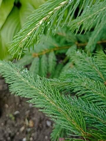 БМВ 3 Серія ГТ, об'ємом двигуна 0 л та пробігом 20 тис. км за 2998 $, фото 1 на Automoto.ua