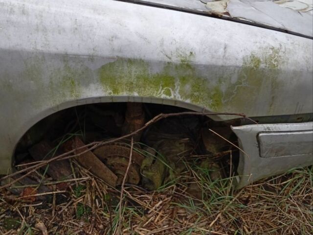 Белый БМВ 3 Серия, объемом двигателя 3.1 л и пробегом 1 тыс. км за 600000 $, фото 1 на Automoto.ua