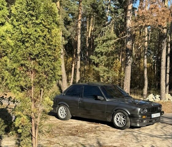 Серый БМВ 3 Серия, объемом двигателя 2.5 л и пробегом 999 тыс. км за 4874 $, фото 17 на Automoto.ua