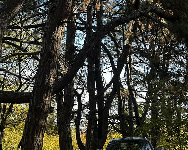 Синий БМВ 3 Серия, объемом двигателя 2 л и пробегом 111 тыс. км за 22500 $, фото 1 на Automoto.ua