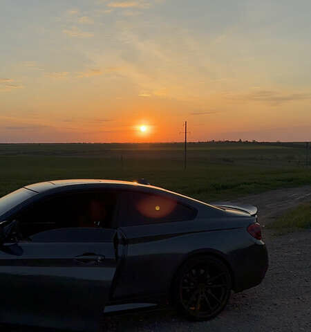 Серый БМВ 4 Серия, объемом двигателя 3 л и пробегом 315 тыс. км за 22500 $, фото 32 на Automoto.ua