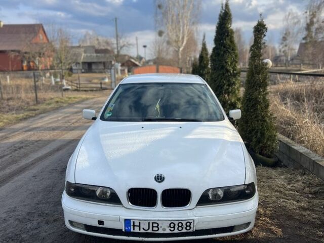 Белый БМВ 5 Серия, объемом двигателя 2.5 л и пробегом 300 тыс. км за 1900 $, фото 3 на Automoto.ua