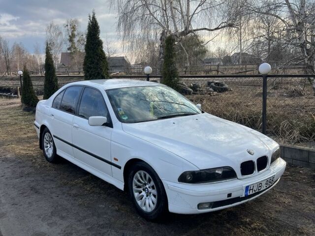 Белый БМВ 5 Серия, объемом двигателя 2.5 л и пробегом 300 тыс. км за 1900 $, фото 1 на Automoto.ua