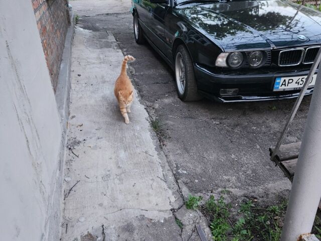 БМВ 5 Серия 1993 в Александрие на Automoto.ua Черный БМВ 5 Серия, объемом двигателя 2.5 л и пробегом 470 тыс. км за 4200 $, фото 2 на Automoto.ua