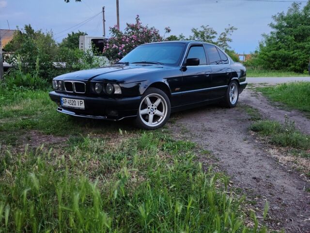 БМВ 5 Серия 1993 в Александрие на Automoto.ua Черный БМВ 5 Серия, объемом двигателя 2.5 л и пробегом 470 тыс. км за 4200 $, фото 1 на Automoto.ua