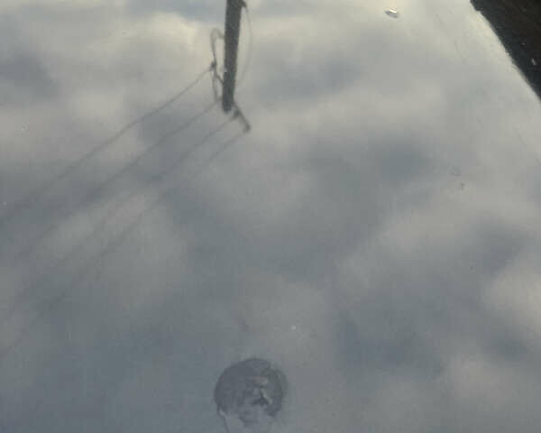 Черный БМВ 5 Серия, объемом двигателя 2 л и пробегом 349 тыс. км за 3000 $, фото 14 на Automoto.ua