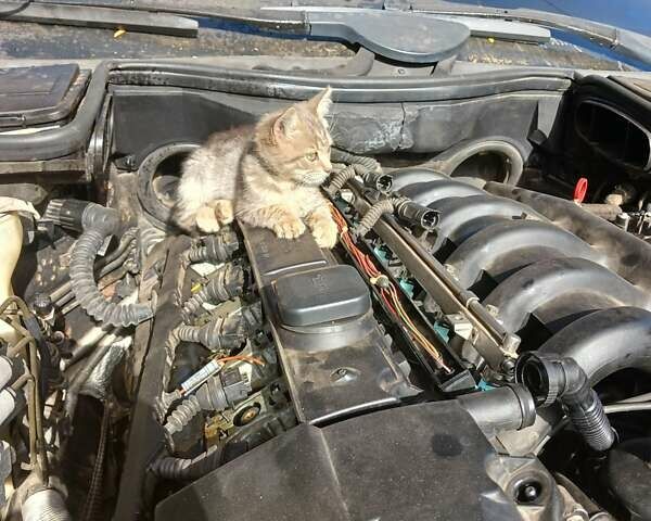 Чорний БМВ 5 Серія, об'ємом двигуна 1.99 л та пробігом 265 тис. км за 5500 $, фото 18 на Automoto.ua