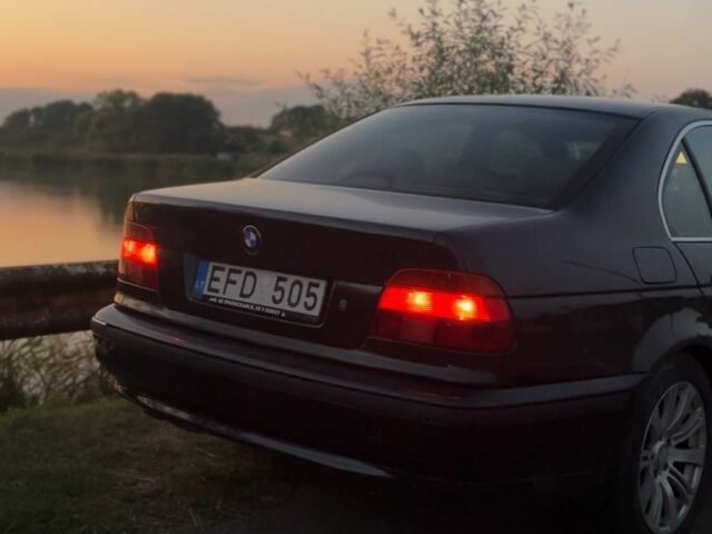 Черный БМВ 5 Серия, объемом двигателя 3 л и пробегом 480 тыс. км за 3000 $, фото 6 на Automoto.ua