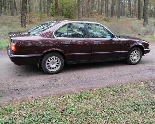 Коричневый БМВ 5 Серия, объемом двигателя 2.5 л и пробегом 298 тыс. км за 2100 $, фото 2 на Automoto.ua