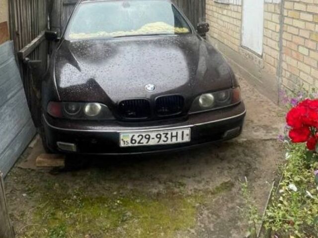 Коричневый БМВ 5 Серия, объемом двигателя 2.5 л и пробегом 316 тыс. км за 2500 $, фото 4 на Automoto.ua