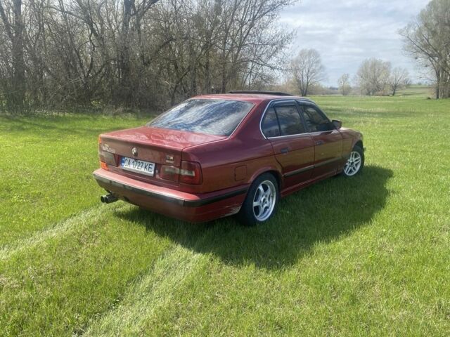 Красный БМВ 5 Серия, объемом двигателя 2.4 л и пробегом 170 тыс. км за 2000 $, фото 2 на Automoto.ua