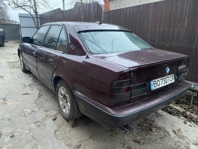 Красный БМВ 5 Серия, объемом двигателя 2.5 л и пробегом 200 тыс. км за 1600 $, фото 3 на Automoto.ua