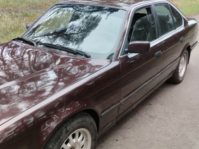 Красный БМВ 5 Серия, объемом двигателя 2.5 л и пробегом 311 тыс. км за 2450 $, фото 10 на Automoto.ua