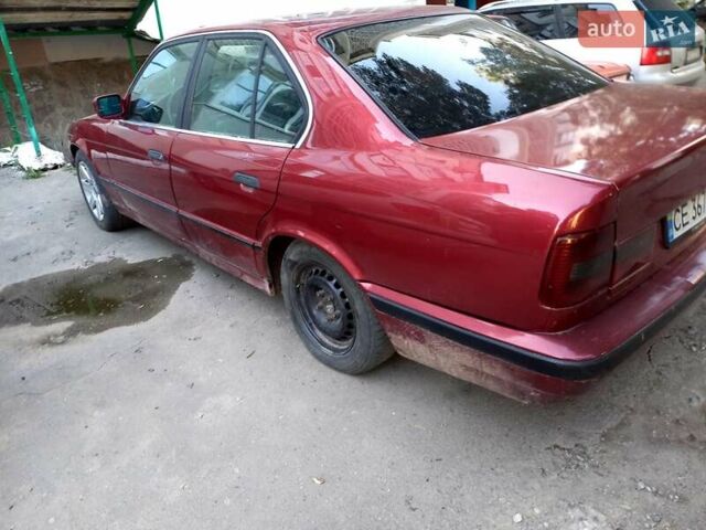 Красный БМВ 5 Серия, объемом двигателя 2.44 л и пробегом 100 тыс. км за 2000 $, фото 2 на Automoto.ua