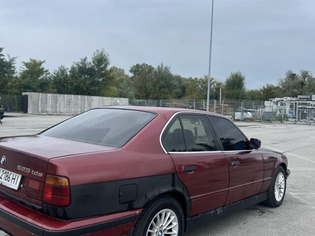 БМВ 5 Серия 1991 в Черновцах на Automoto.ua Красный БМВ 5 Серия, объемом двигателя 2.5 л и пробегом 156 тыс. км за 2000 $, фото 3 на Automoto.ua