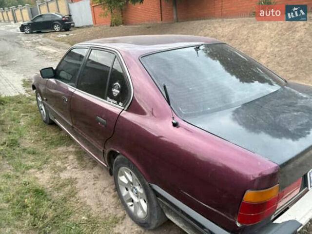 Красный БМВ 5 Серия, объемом двигателя 2 л и пробегом 560 тыс. км за 799 $, фото 1 на Automoto.ua