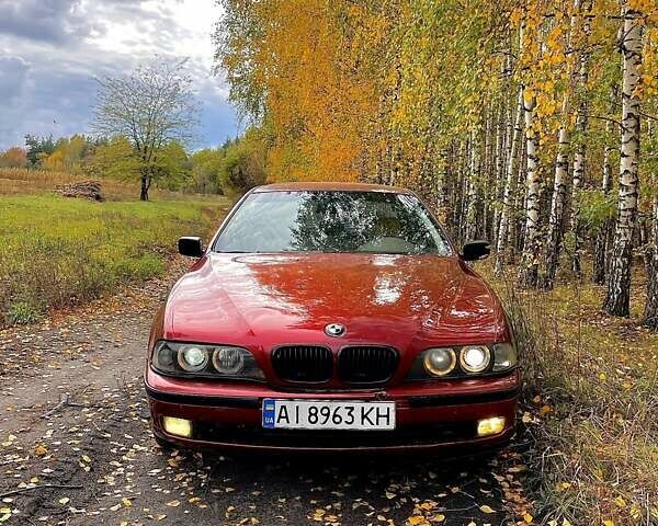 Червоний БМВ 5 Серія, об'ємом двигуна 2.5 л та пробігом 398 тис. км за 3570 $, фото 1 на Automoto.ua