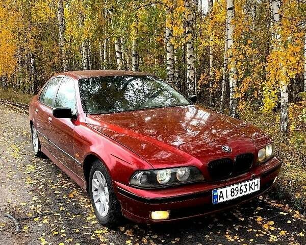 Червоний БМВ 5 Серія, об'ємом двигуна 2.5 л та пробігом 398 тис. км за 3570 $, фото 8 на Automoto.ua