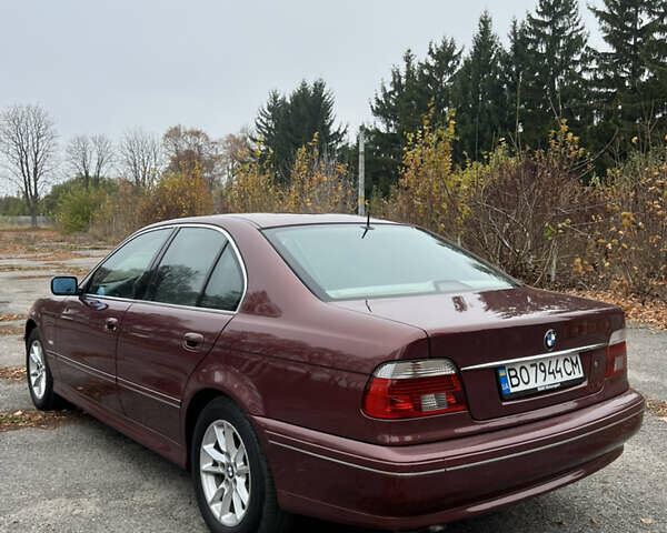 Красный БМВ 5 Серия, объемом двигателя 3 л и пробегом 260 тыс. км за 8200 $, фото 7 на Automoto.ua