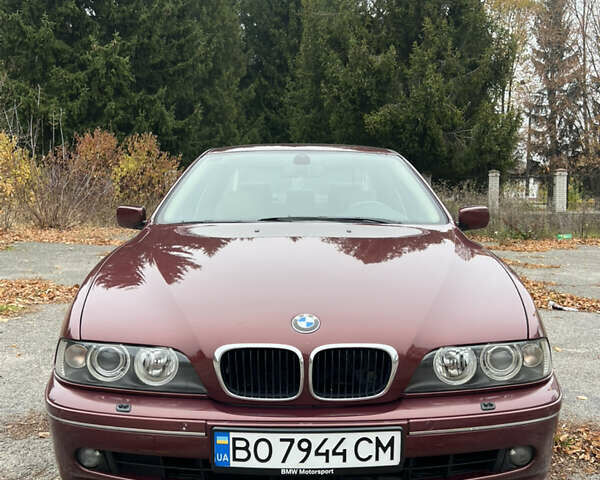 Красный БМВ 5 Серия, объемом двигателя 3 л и пробегом 260 тыс. км за 8200 $, фото 2 на Automoto.ua