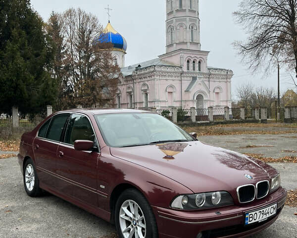 Красный БМВ 5 Серия, объемом двигателя 3 л и пробегом 260 тыс. км за 8200 $, фото 3 на Automoto.ua