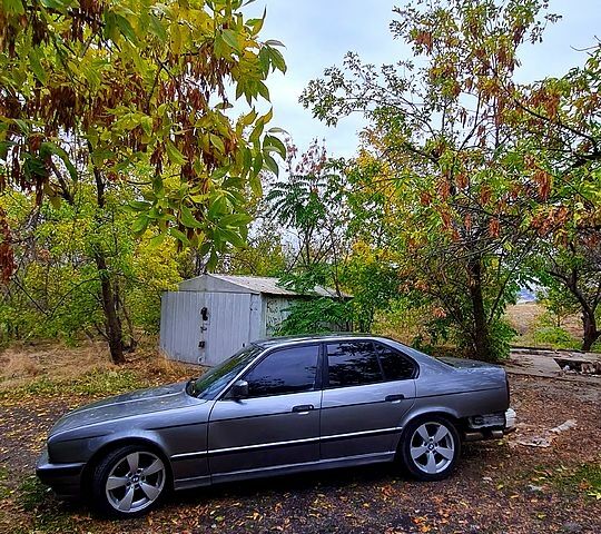 БМВ 5 Серия, объемом двигателя 2 л и пробегом 0 тыс. км за 2000 $, фото 1 на Automoto.ua