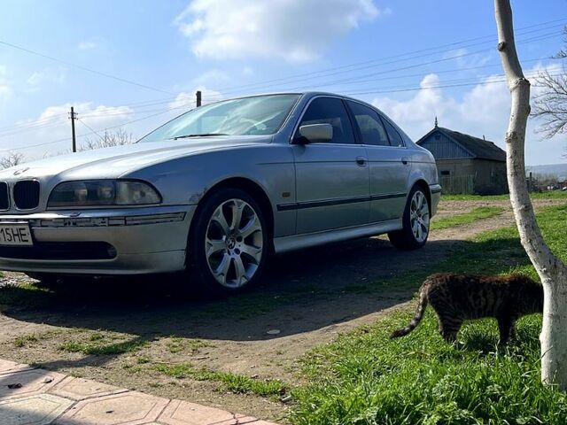 БМВ 5 Серия, объемом двигателя 25 л и пробегом 0 тыс. км за 2700 $, фото 10 на Automoto.ua