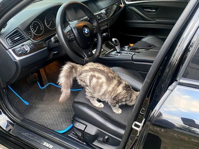 БМВ 5 Серия, объемом двигателя 2 л и пробегом 242 тыс. км за 10500 $, фото 5 на Automoto.ua