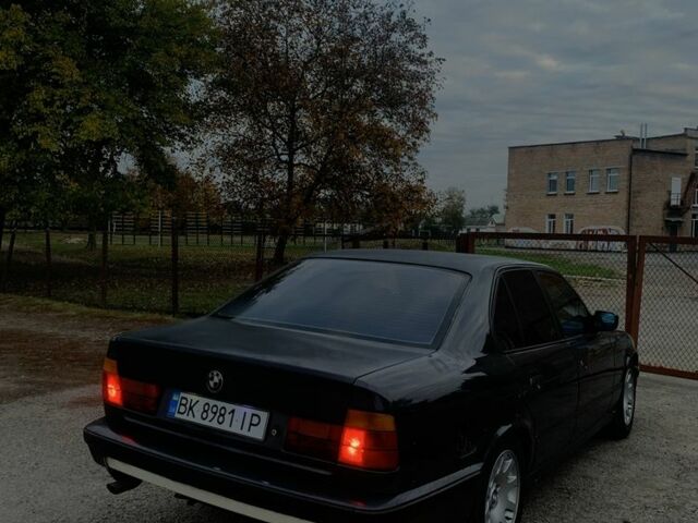 Серый БМВ 5 Серия, объемом двигателя 2 л и пробегом 390 тыс. км за 3500 $, фото 2 на Automoto.ua