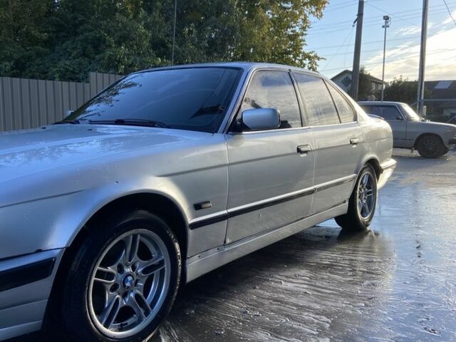 Сірий БМВ 5 Серія, об'ємом двигуна 2 л та пробігом 500 тис. км за 2999 $, фото 3 на Automoto.ua