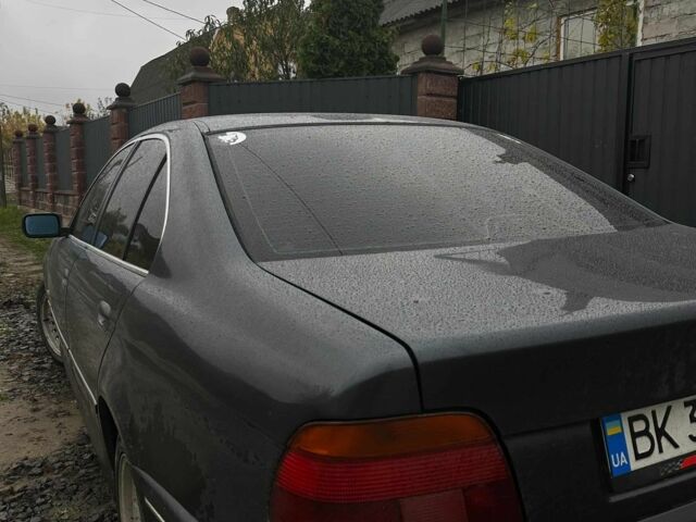 Сірий БМВ 5 Серія, об'ємом двигуна 2.5 л та пробігом 500 тис. км за 4200 $, фото 2 на Automoto.ua