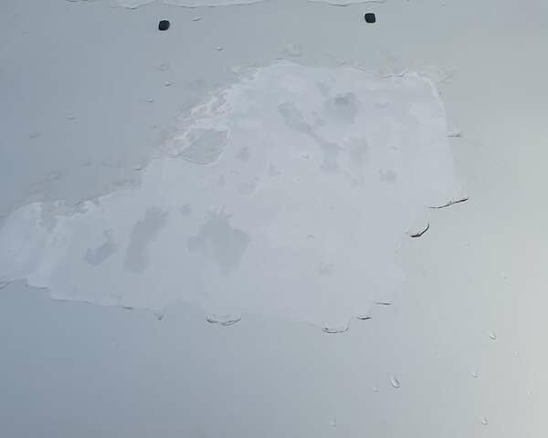 БМВ 5 Серия 1997 в Львове на Automoto.ua Серый БМВ 5 Серия, объемом двигателя 2.5 л и пробегом 433 тыс. км за 2700 $, фото 17 на Automoto.ua