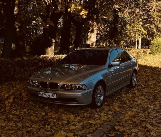 Серый БМВ 5 Серия, объемом двигателя 2.9 л и пробегом 348 тыс. км за 8000 $, фото 1 на Automoto.ua