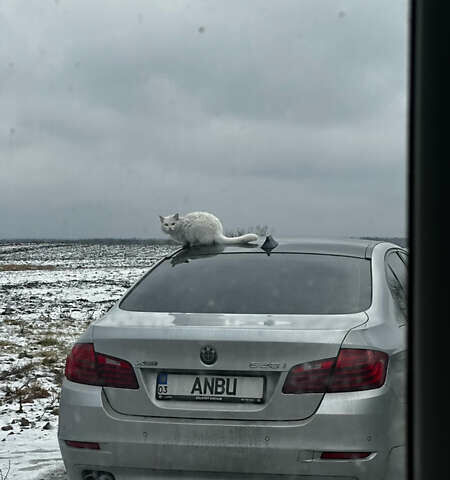 Сірий БМВ 5 Серія, об'ємом двигуна 2 л та пробігом 138 тис. км за 17100 $, фото 39 на Automoto.ua