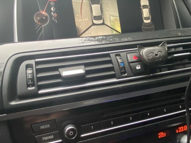 Серый БМВ 5 Серия, объемом двигателя 2 л и пробегом 180 тыс. км за 24000 $, фото 19 на Automoto.ua