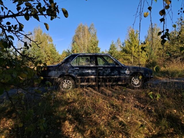 Синий БМВ 5 Серия, объемом двигателя 2 л и пробегом 250 тыс. км за 1000 $, фото 2 на Automoto.ua