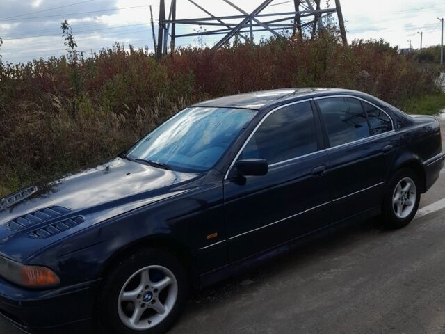 Синий БМВ 5 Серия, объемом двигателя 2 л и пробегом 292 тыс. км за 1699 $, фото 5 на Automoto.ua