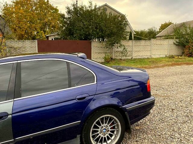 Синий БМВ 5 Серия, объемом двигателя 2.5 л и пробегом 320 тыс. км за 4000 $, фото 8 на Automoto.ua